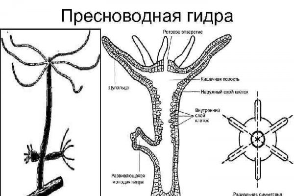 Кракен онион сайт io