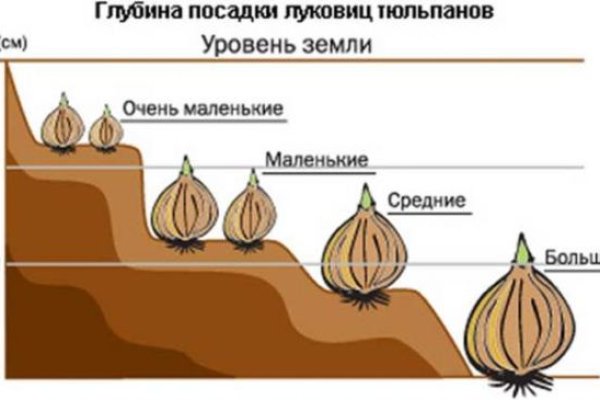 Кракен переходник ссылка