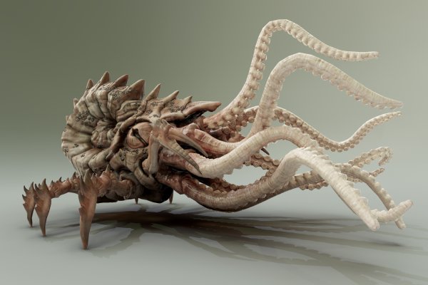 Kraken ссылка